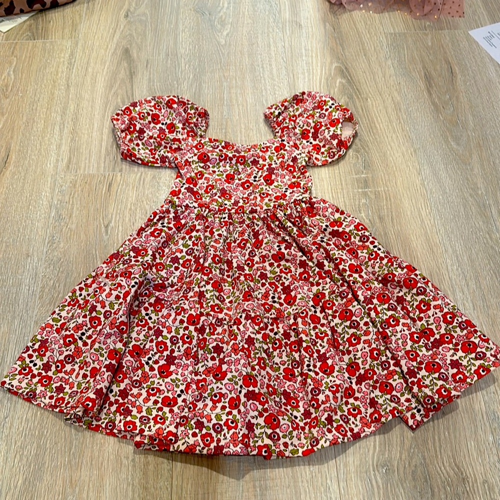 Little girl Alice + Ames “Juliet” dress 4T
